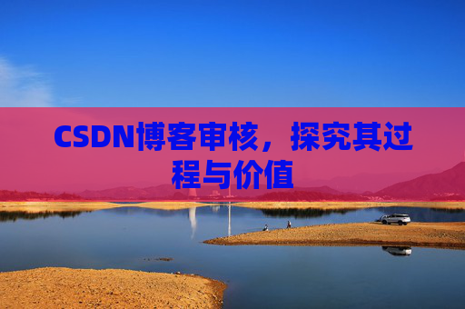 CSDN博客审核，探究其过程与价值